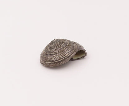 925 Sterling Silver Vintage Dome Puffy Carved Spiral Shell Paper Weight TR3511
