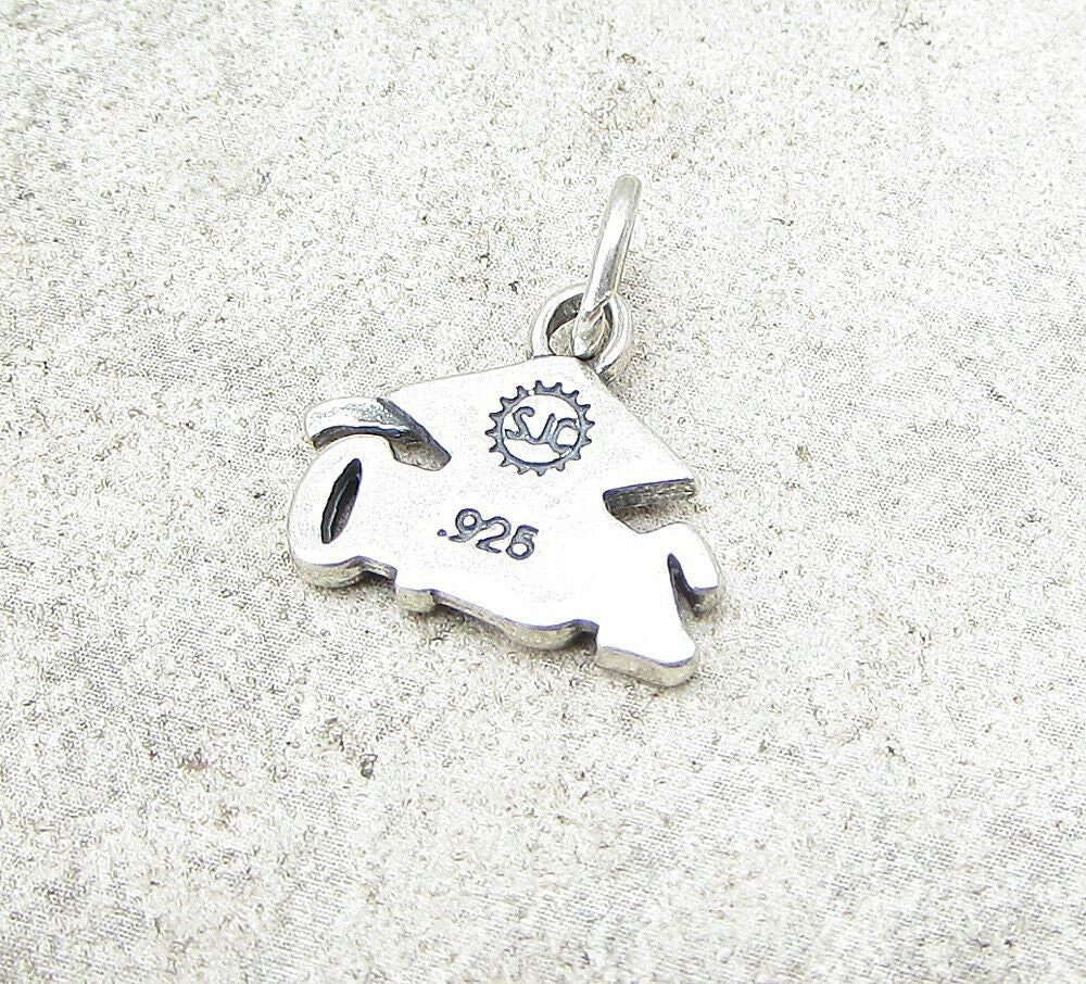925 Sterling Silver 2010 Graduation Charm Pendant  PT1044
