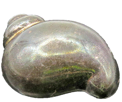 MMA 925 Silver  Vintage Smooth Oxidized Snail Shell Motif Brooch Pin  BP8506