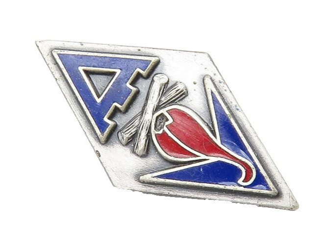 HIS LORDSHIP 925 Silver  Vintage Enamel Coated Pointed Brooch Pin  BP4294