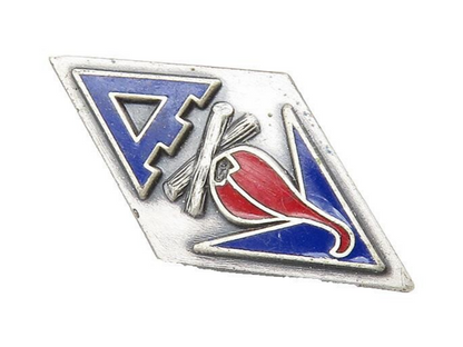 HIS LORDSHIP 925 Silver  Vintage Enamel Coated Pointed Brooch Pin  BP4294