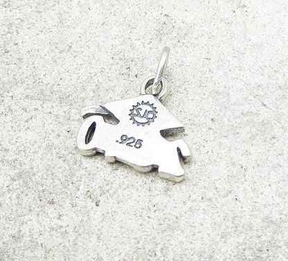 925 Sterling Silver 2010 Graduation Charm Pendant  PT1045