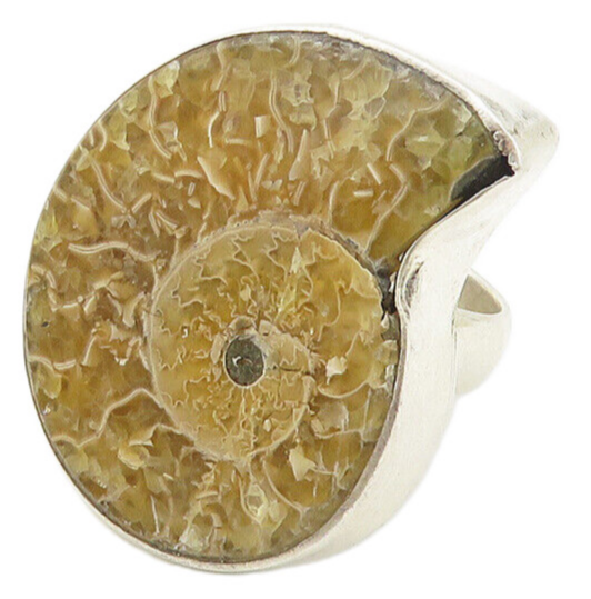 925 Sterling Silver  Vintage Ammonite Fossil Snail Cocktail Ring Sz 6  RG10742