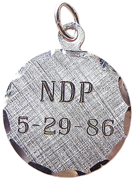 925 Sterling Silver  New Democratic Party Charm Pendant  PT1110