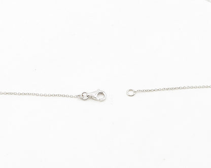 925 Sterling Silver  Shiny Cubic Zirconia D Initial Chain Necklace  NE3137