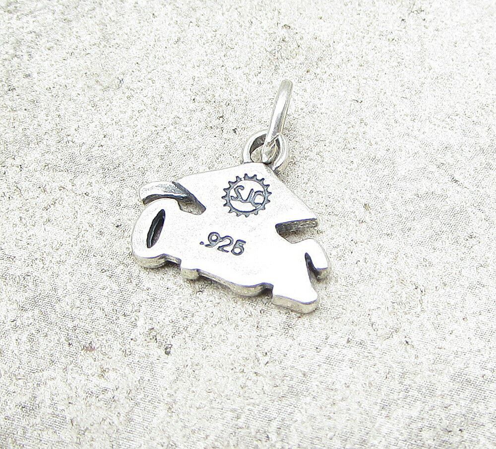 925 Sterling Silver 2010 Graduation Charm Pendant PT1043