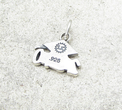 925 Sterling Silver 2010 Graduation Charm Pendant PT1043