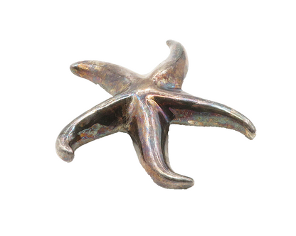925 Sterling Silver  Vintage Oxidized Hollow Star Fish Brooch Pin  BP3690
