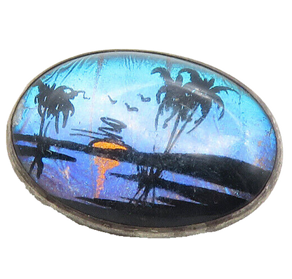 STERLING BAR 925 Silver  Vintage Morpho Butterfly Wing Brooch Pin  BP4031