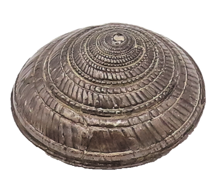 925 Sterling Silver Vintage Dome Puffy Carved Spiral Shell Paper Weight TR3511