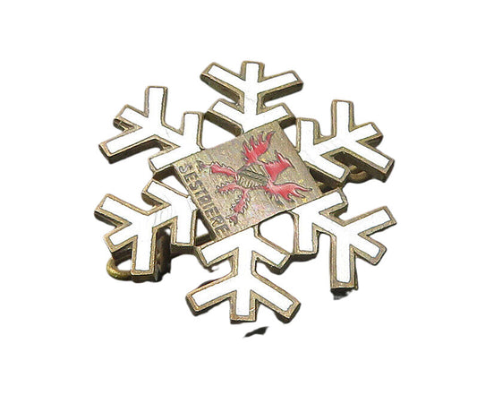ORIOLE PATTILU 925 Silver  Vintage Sestriere City Snowflake Brooch Pin  BP7774