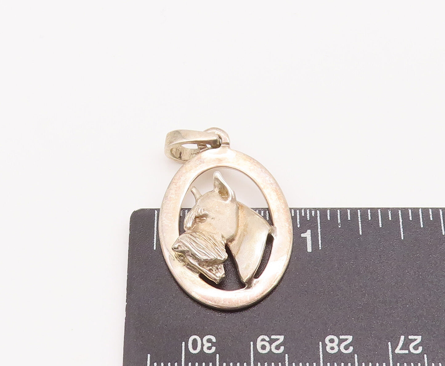 925 Sterling Silver Vintage Pendant Cutout Carved Framed Sad Dog Face  PT23019